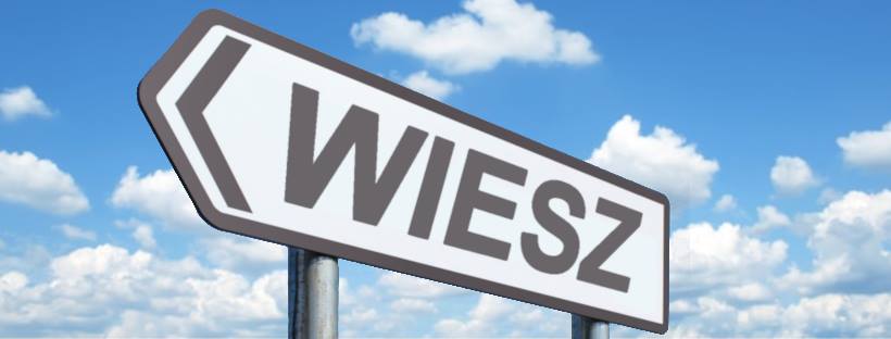Webinarium o najnowszych środkach Miasta Poznania dla NGO: 21 i 22.05.2020